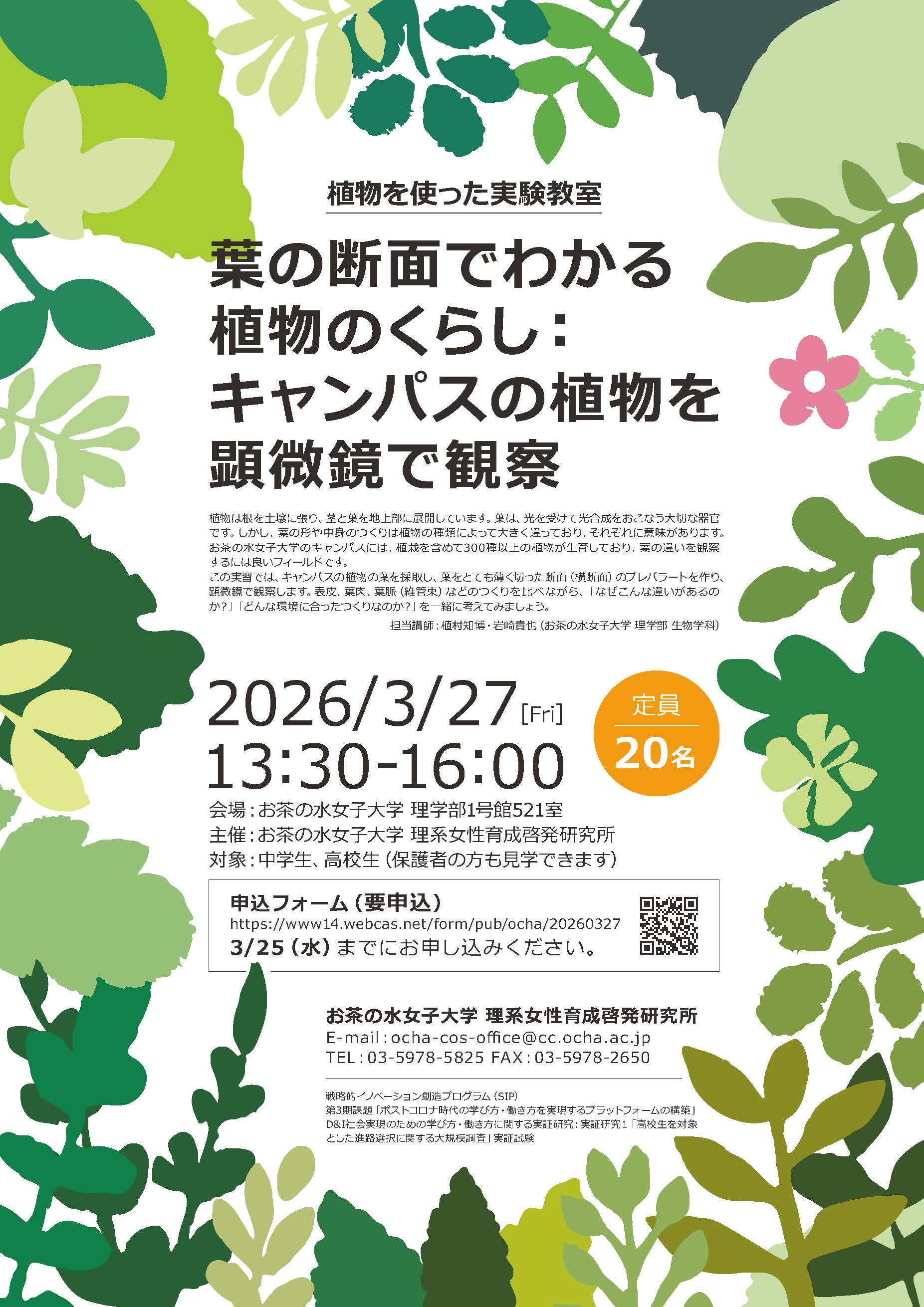 【実証研究1】植物を使った実験教室